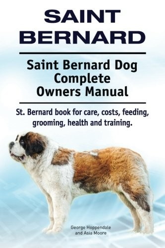 Saint bernard - saint,