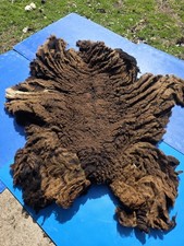 Raw Unwashed Rare Sheep Fleece