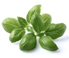 Click and Grow Smart Garden