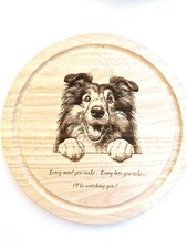Rough Collie/Sheltie Dog