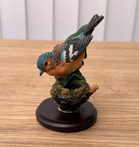 Country bird collection - bird,