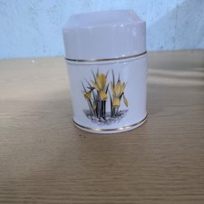 Royal Worcester Colorful