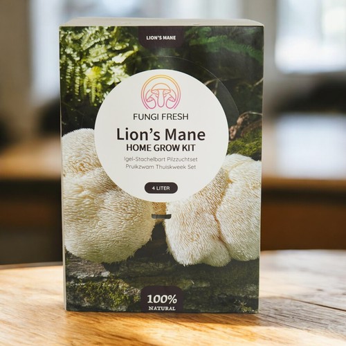 Lion mane mushroom - lion’s,