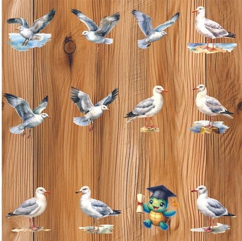 12x colourful mixed seagull - 12x,