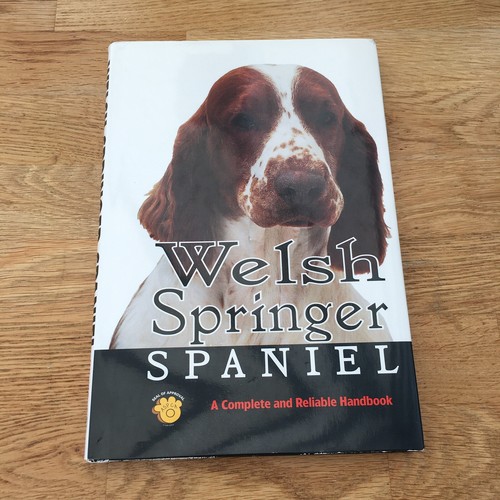 Welsh springer spaniel - welsh,