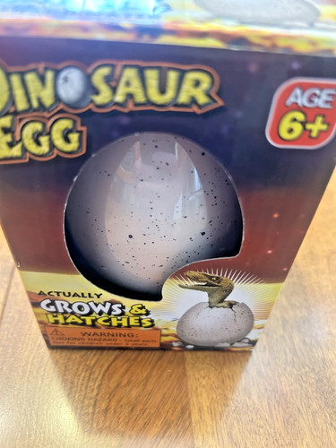 Dinosaur egg grows and hatches - egg,