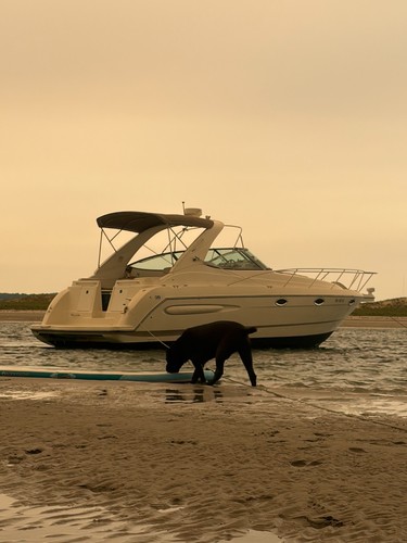 1999 maxum 3300scr - 1999,
