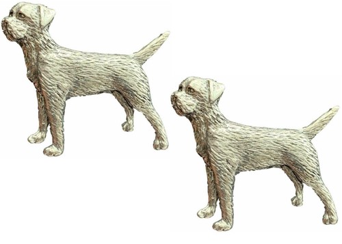 Border terrier dog - 2,