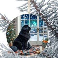 Newfoundland Dog Hanging