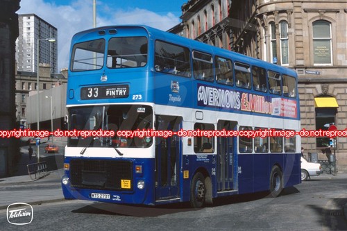Bus photo tayside 273 - photo,