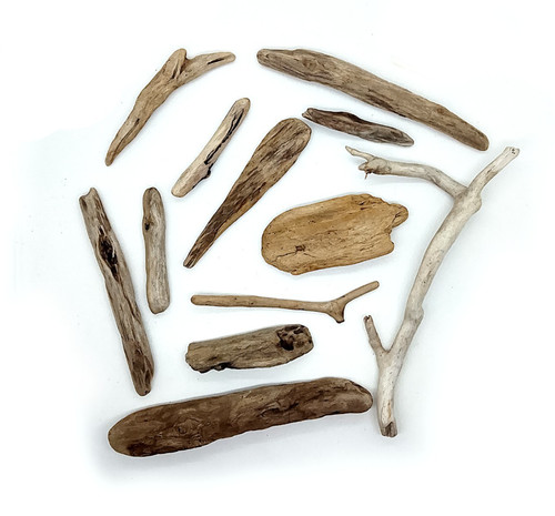 Beach driftwood natural - driftwood,