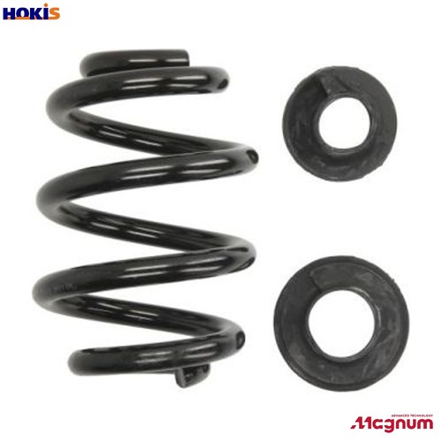 Suspension spring sw116mt - spring,