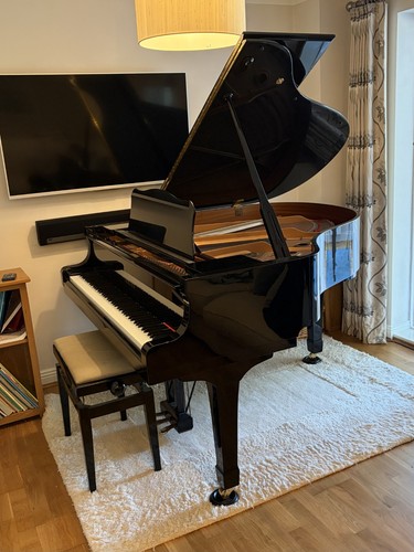 Yamaha conservatory baby - c1,