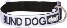 Blind Dog White Collar Coded