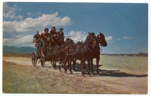 Horse drawn stage - horse,