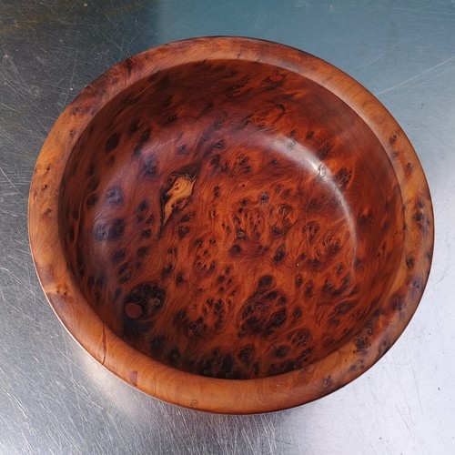 Thuya burr burl wooden wood - burr,