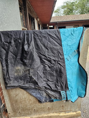 Horseware mio lite turnout - horseware,