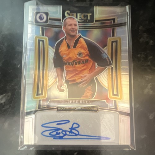 Panini select prizm - prizm, steve