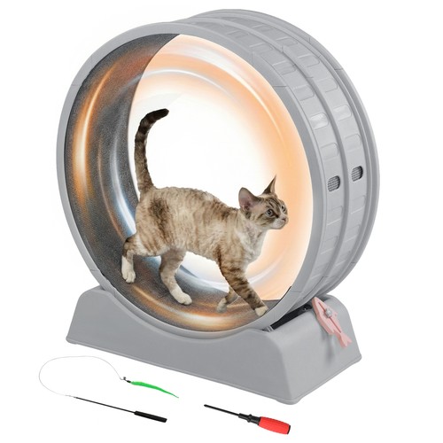 Vingli cat exercise - cat,