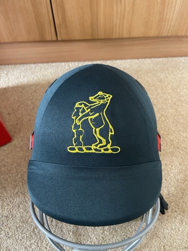 Gray nicolls helmet ultimate - nicolls,