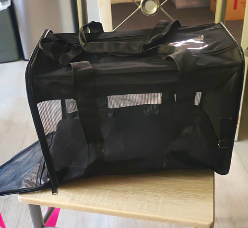 Soft sided pet - pet, bag