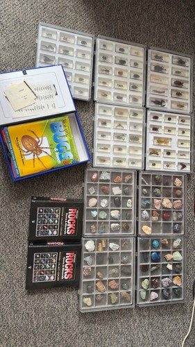 Bugs resin collection and - in,