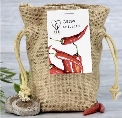 Chilli seeds beecycle - seeds, growing