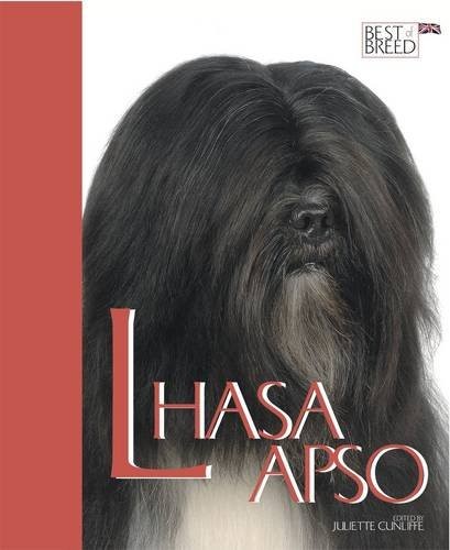 Lhasa apso best of - lhasa,