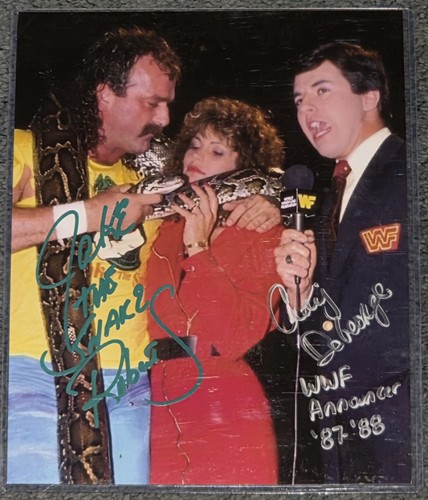 Jake the snake - jake, roberts/craig