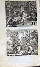 Antique Old Print *2870 1805 Mary Adams Fables Pin Needles Shepherds Dog Wolf