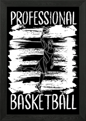 Professional basketball - professional,
