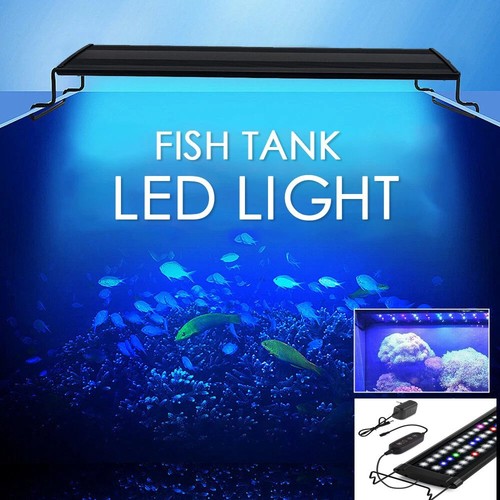 New aquarium fish tank - fish, led