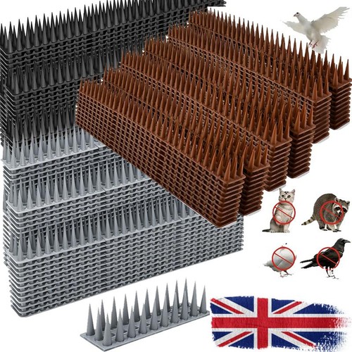 20m 40m bird - bird, for