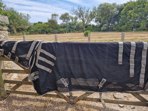 Premier equine magnetic horse - magnetic,