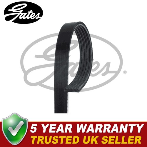 Gates ribbed belts fits - gates,
