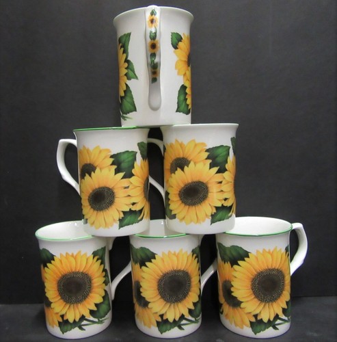 Set 2 1 - set, 8/6/4/2/1