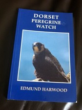 Dorset Peregrine Watch -