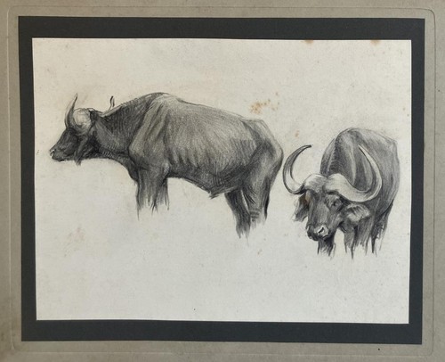 Antique master drawing - antique,