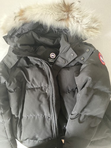 Canada goose - canada,