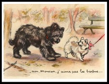 BRIARD PUP AND POMERANIAN DOG