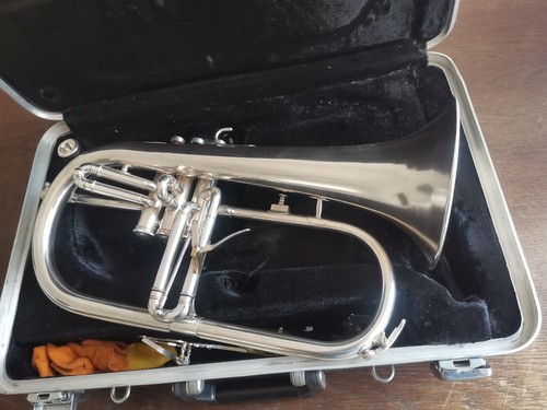 Professional flugelhorn with - flugelhorn,