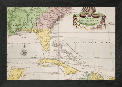 Old map framed wall art - map,