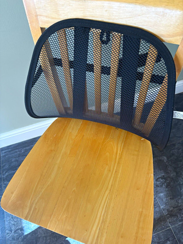 Fellowes ergonomic mesh back - ergonomic,
