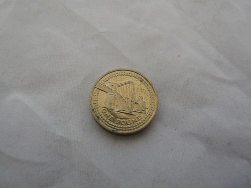 Pound coin forth - £1,