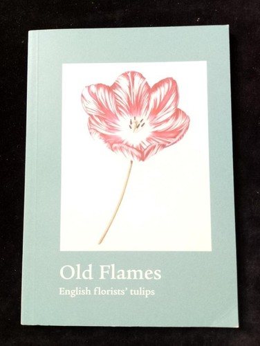 Old flames english - flames:, florists'