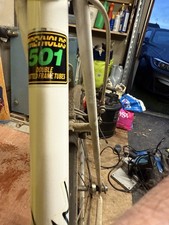 Raleigh Reynolds 501 Pro Race