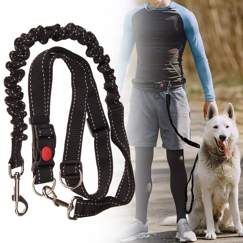 Hands free dog lead waist - dog,