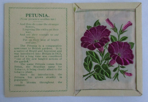 Wix kensitas tobacco medium - wix,