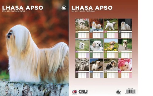 Lhasa apso 2026 - 2026, calendar