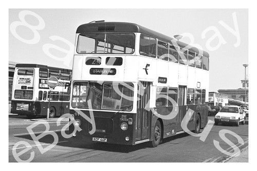 Bus photograph reading - bus,